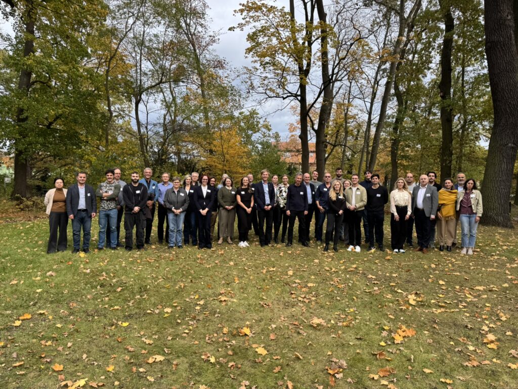 Regenerative Livestock Feed